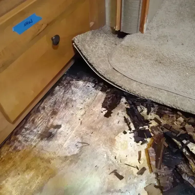 Wood Floor Water Damage in Grand Haven, MI